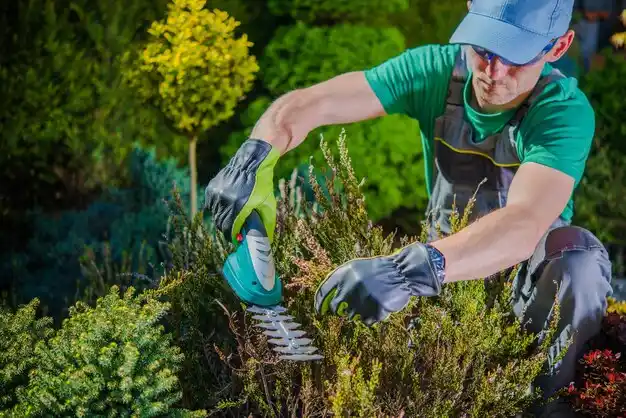 landscaping services Artemus